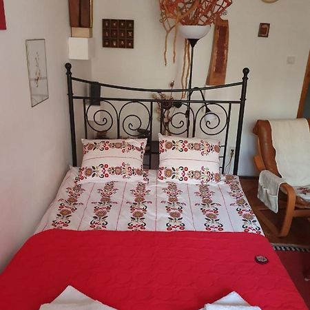 Apartament Anca ทิมิชัวรา ภายนอก รูปภาพ