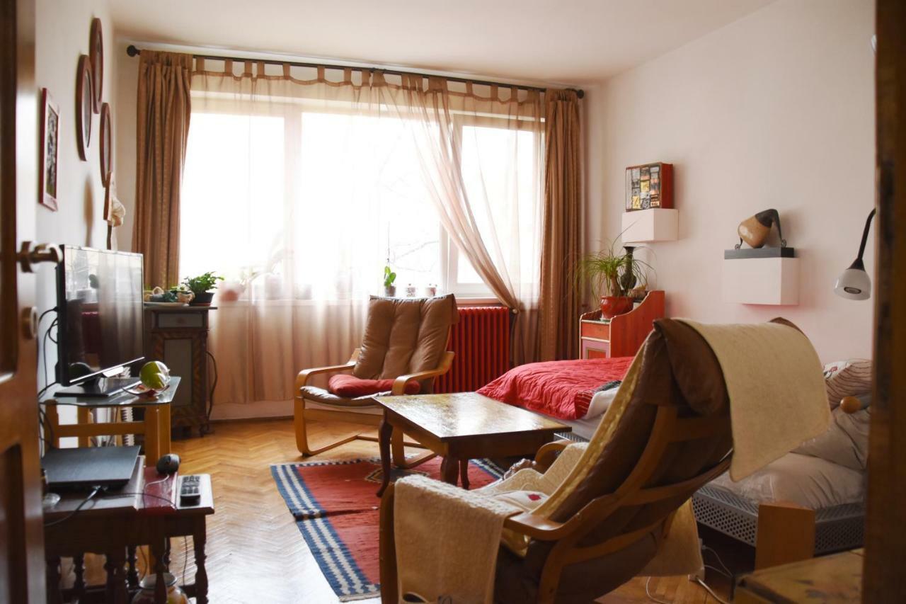 Apartament Anca ทิมิชัวรา ภายนอก รูปภาพ